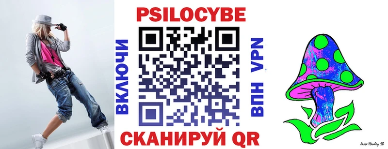 OMG вход  Новоульяновск  Галлюциногенные грибы Psilocybe 